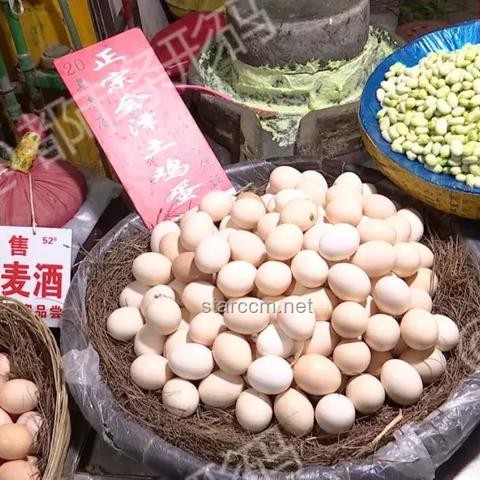 美国170万枚鸡蛋召回问题解决方案
